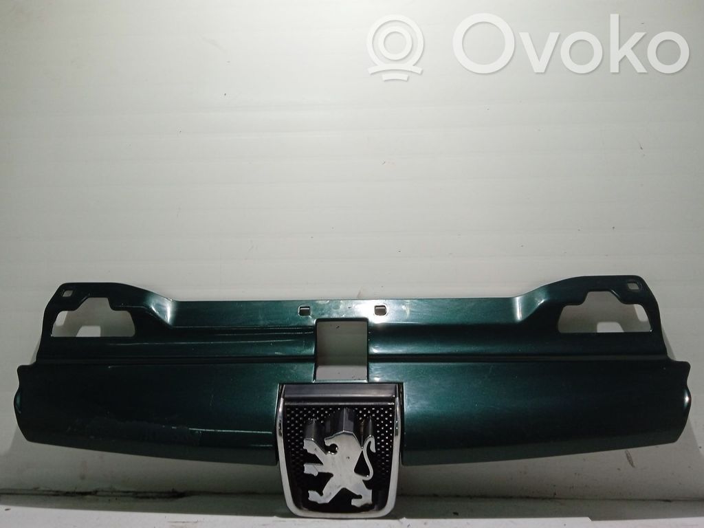 Atrapa chłodnicy / Grill   961658477