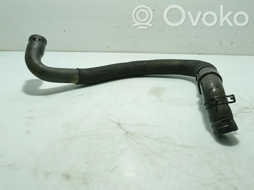 Renault Clio II Marmitta/silenziatore