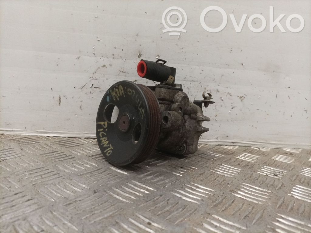 Servopumpe