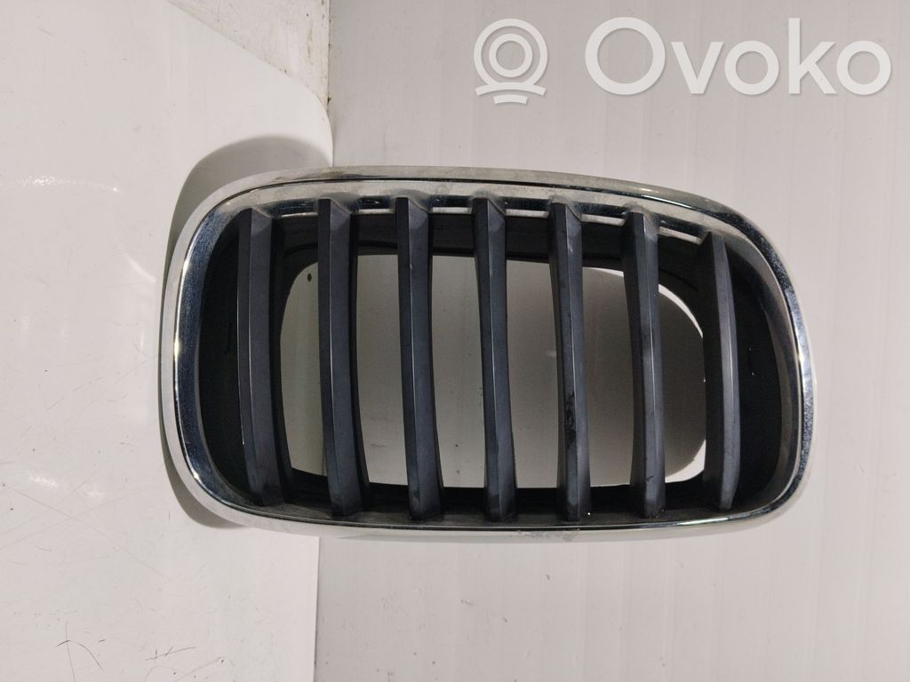 BMW X5 E70 Etusäleikkö 