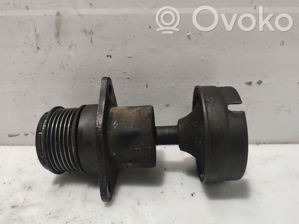 Ford Transit Diržo įtempėjas 