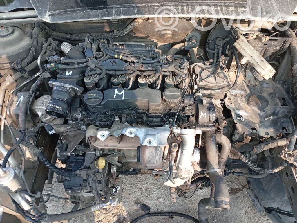 Peugeot 307 Pompa olejowa 