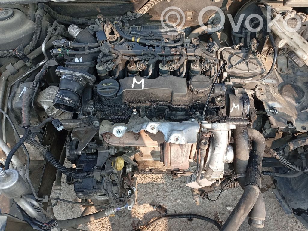 Peugeot 307 Galvutė 