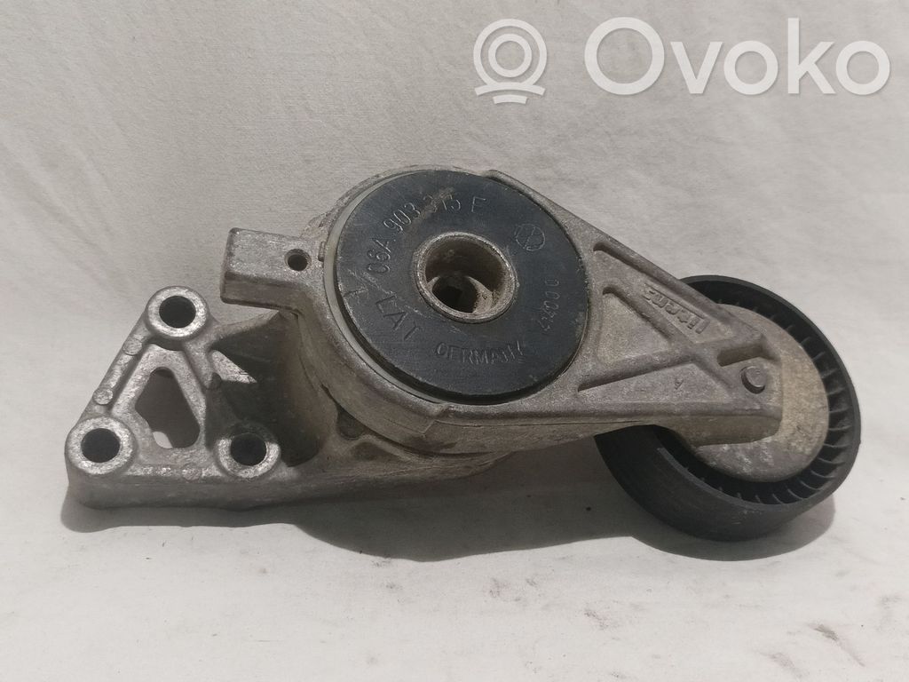 Seat Ibiza II (6k) Tendicinghia generatore/alternatore