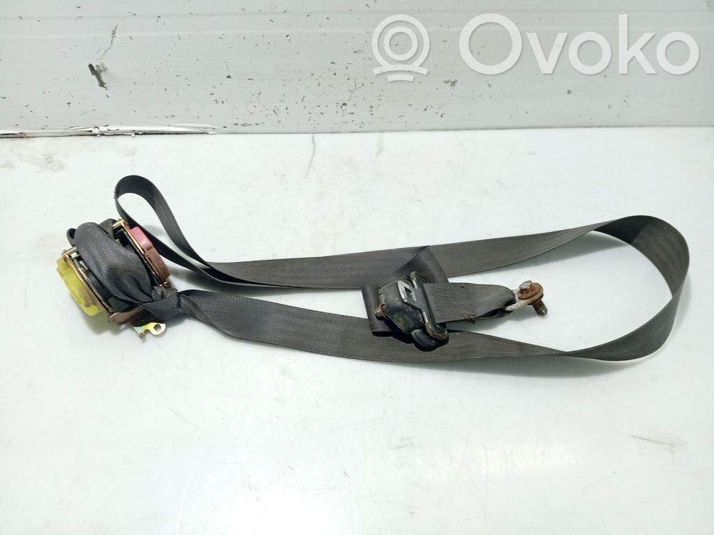 Cinturón trasero   03259CTD