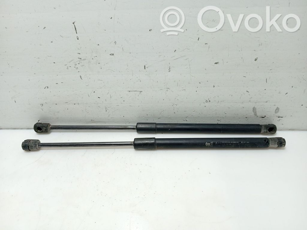 Opel Antara Amortizor hayon 
