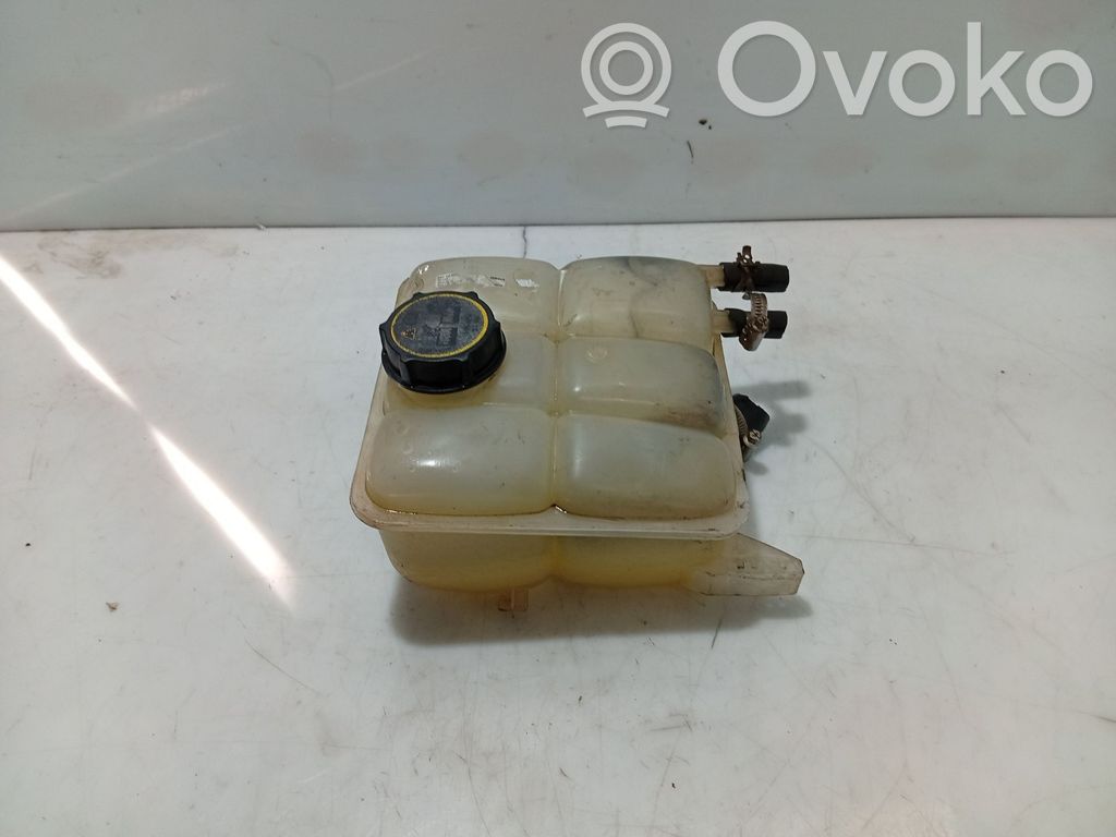 Ford Focus Kuro išsiplėtimo bakelis 