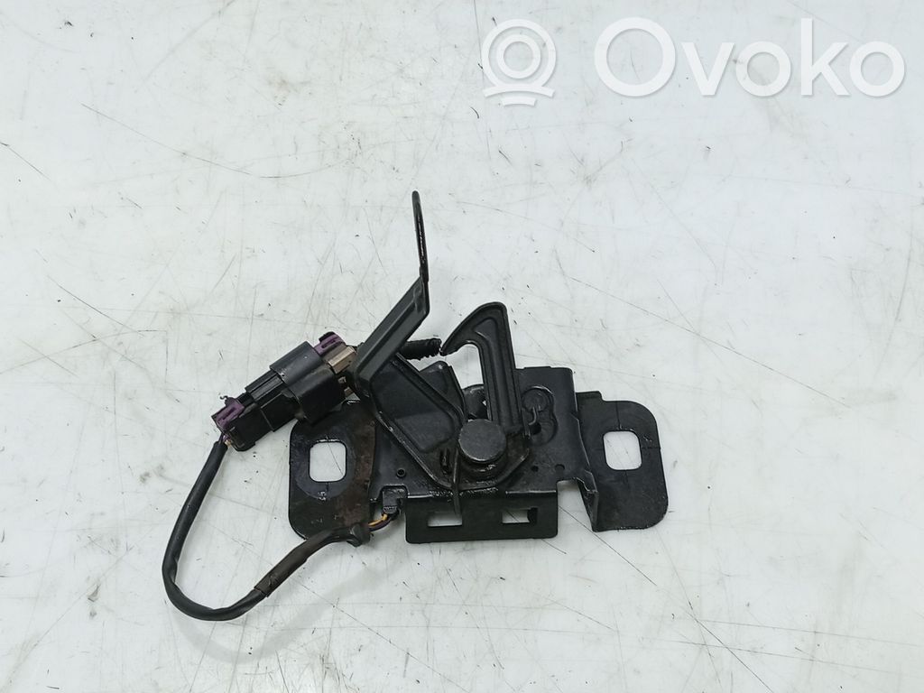 Tie down hook / loop   42517097
