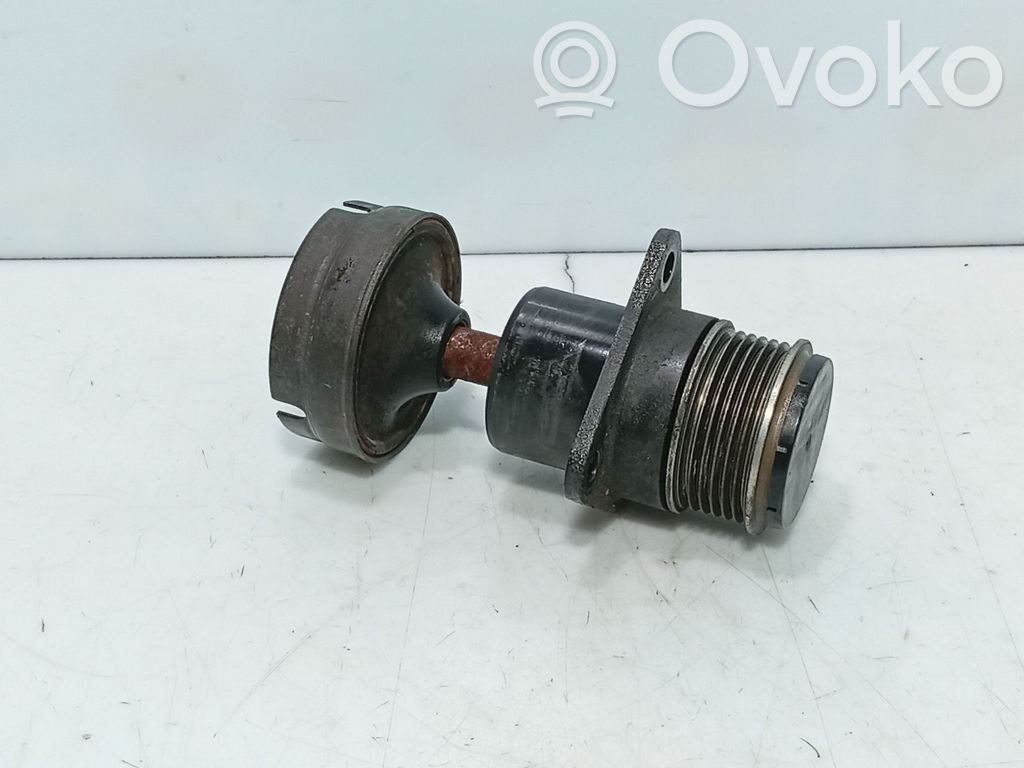 Ford Focus Diržo įtempėjas 