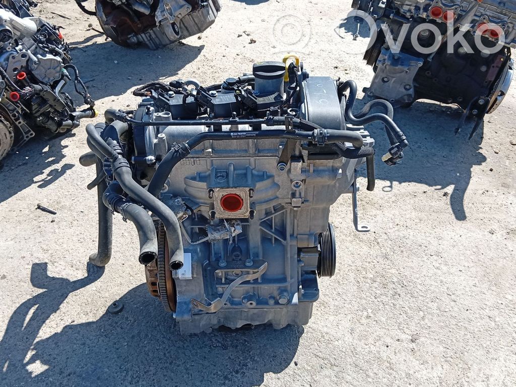 Volkswagen Polo V 6R Engine 