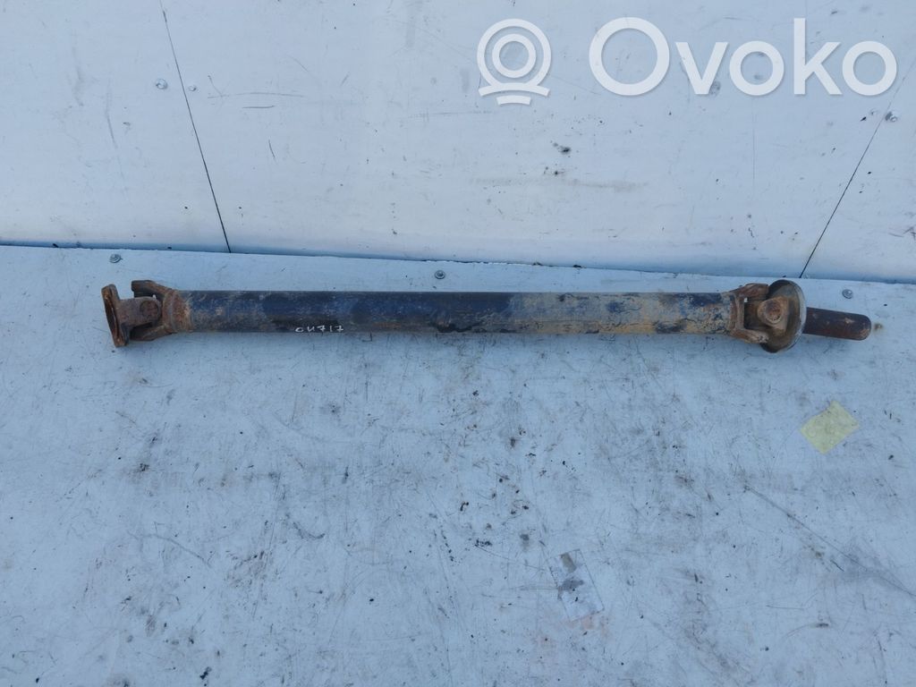 Nissan Terrano Galinis pusašis 