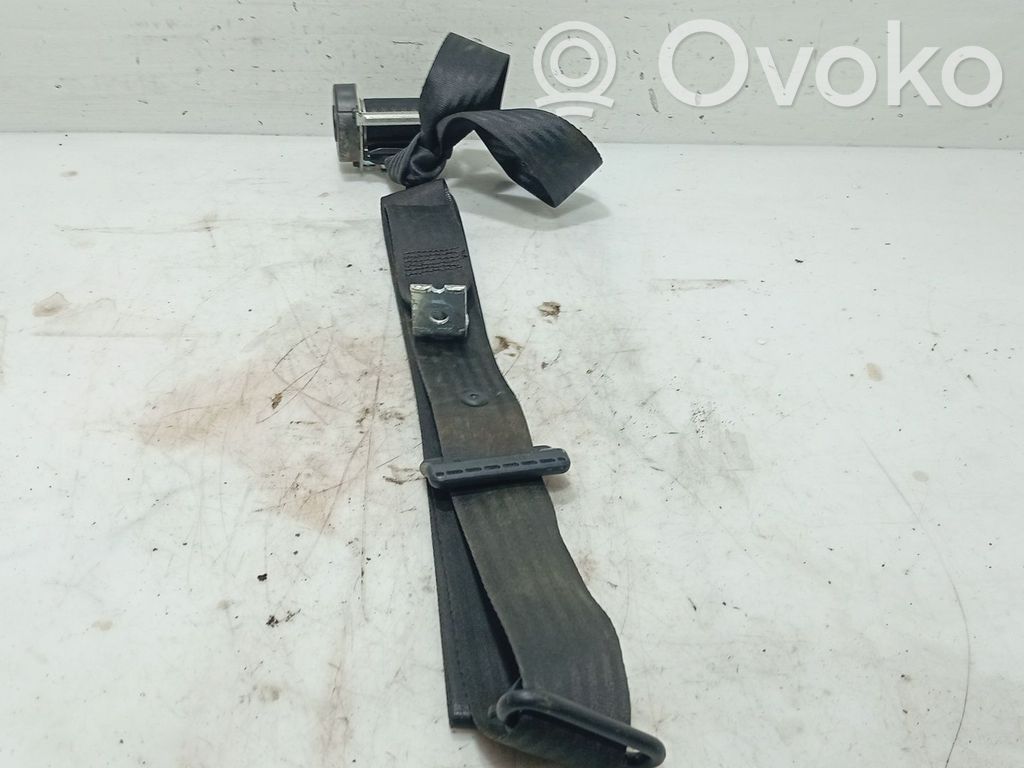 Cinturón trasero   1503772