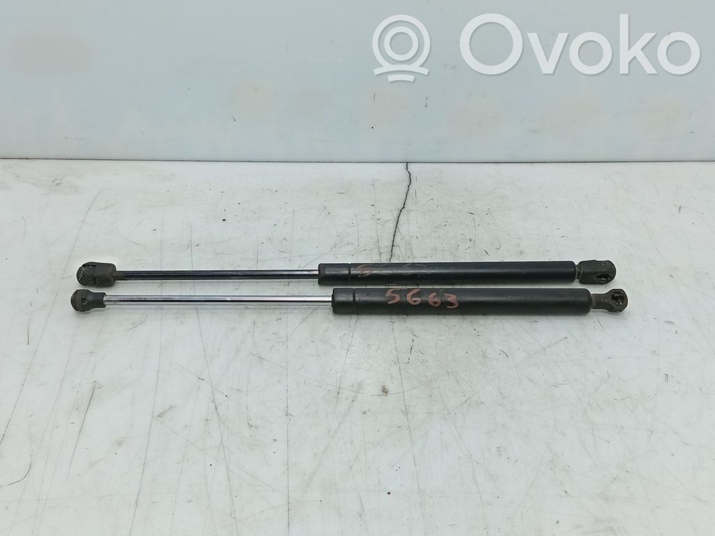 Renault Twingo II Amortizor hayon 
