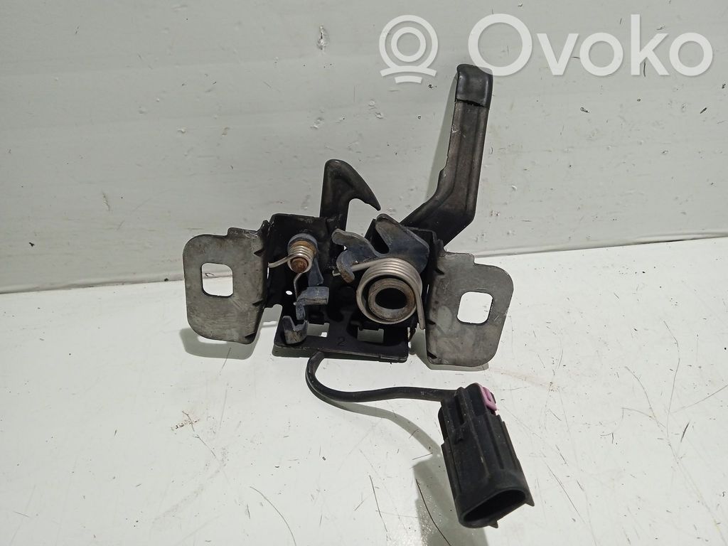 Tie down hook / loop   13313236