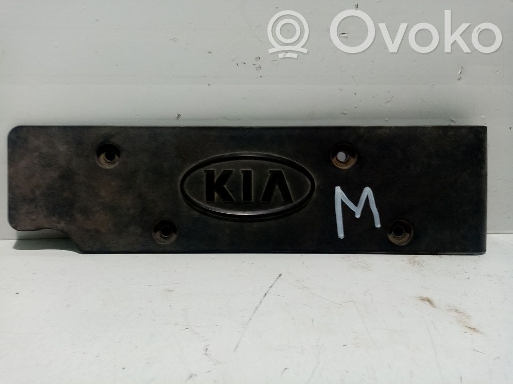 Cubierta del motor (embellecedor)   224052B010