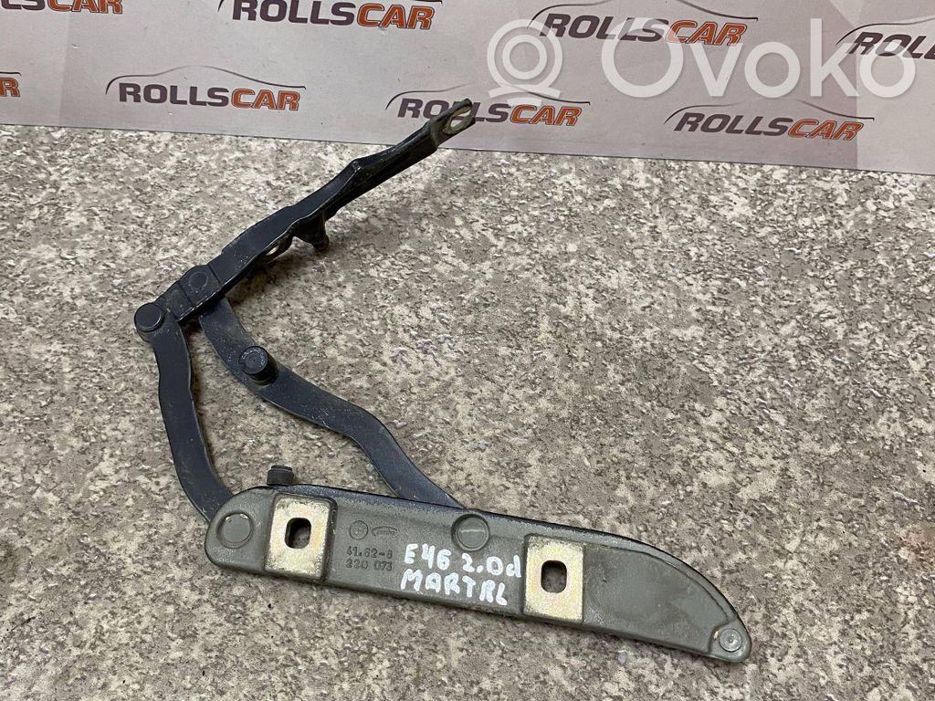 Tailgate/trunk/boot hinge   220073