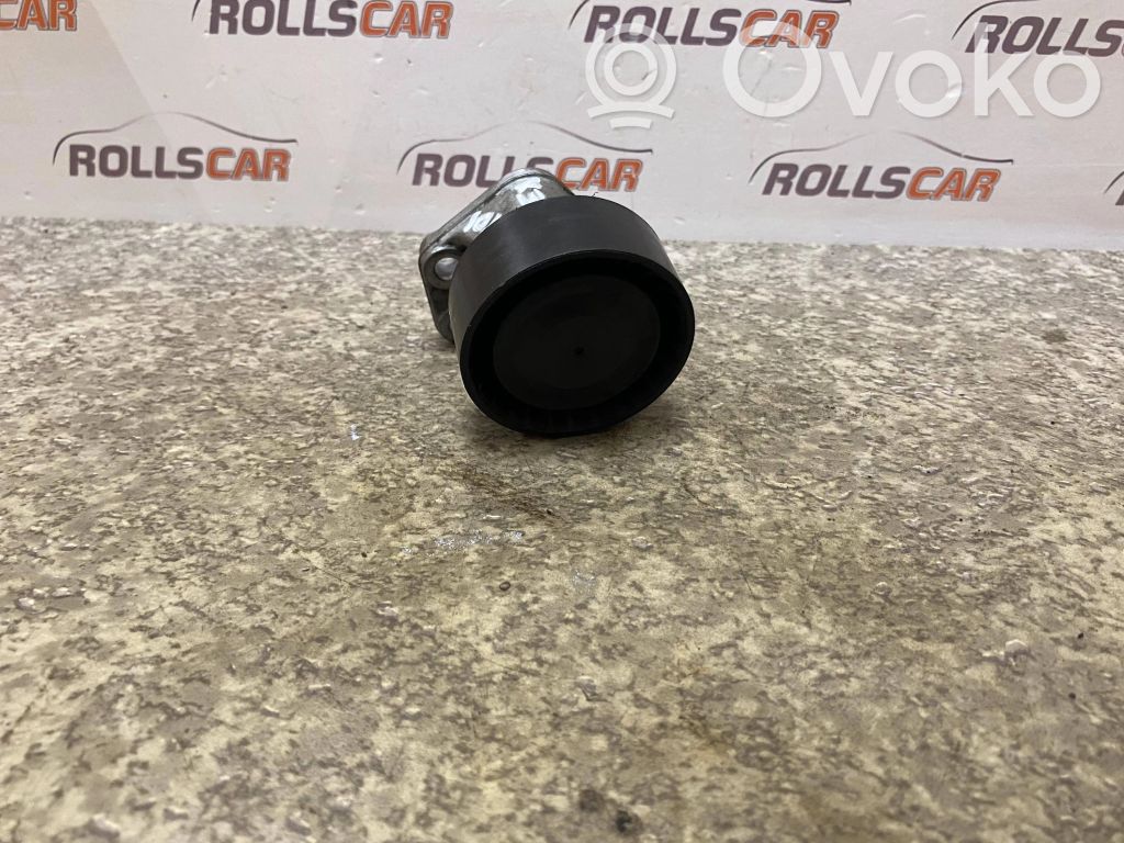 Volkswagen Touareg I Alternator belt tensioner pulley 