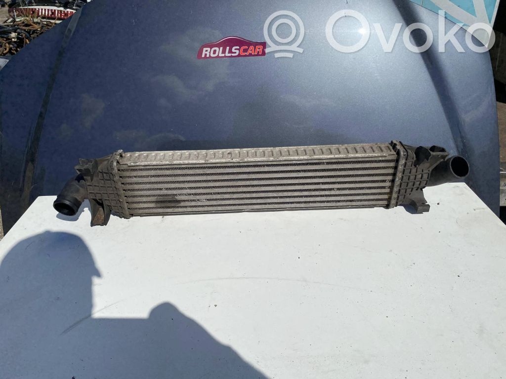 Ford Focus C-MAX Oro nukreipėjas/ kanalas interkūlerio radiatoriaus 