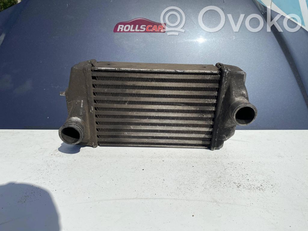 Chrysler Voyager Intercooler air channel guide 