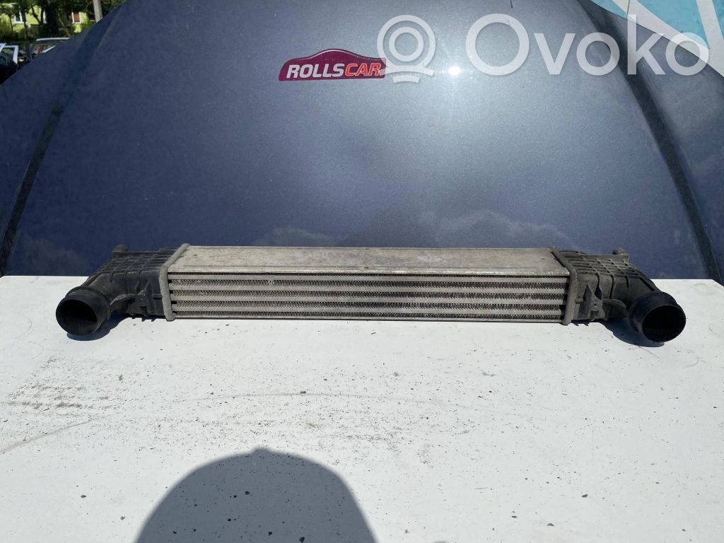 Seat Alhambra (Mk1) Радиатор воздушного канала / канала 