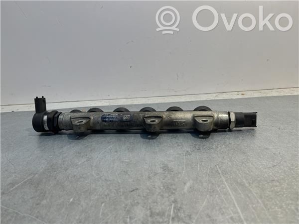 Rampa inyectora   445214062