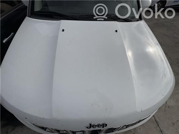 Capó/tapa del motor