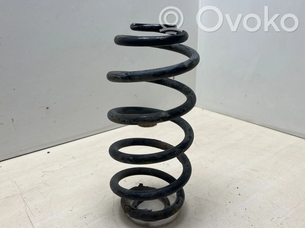 Rear coil spring