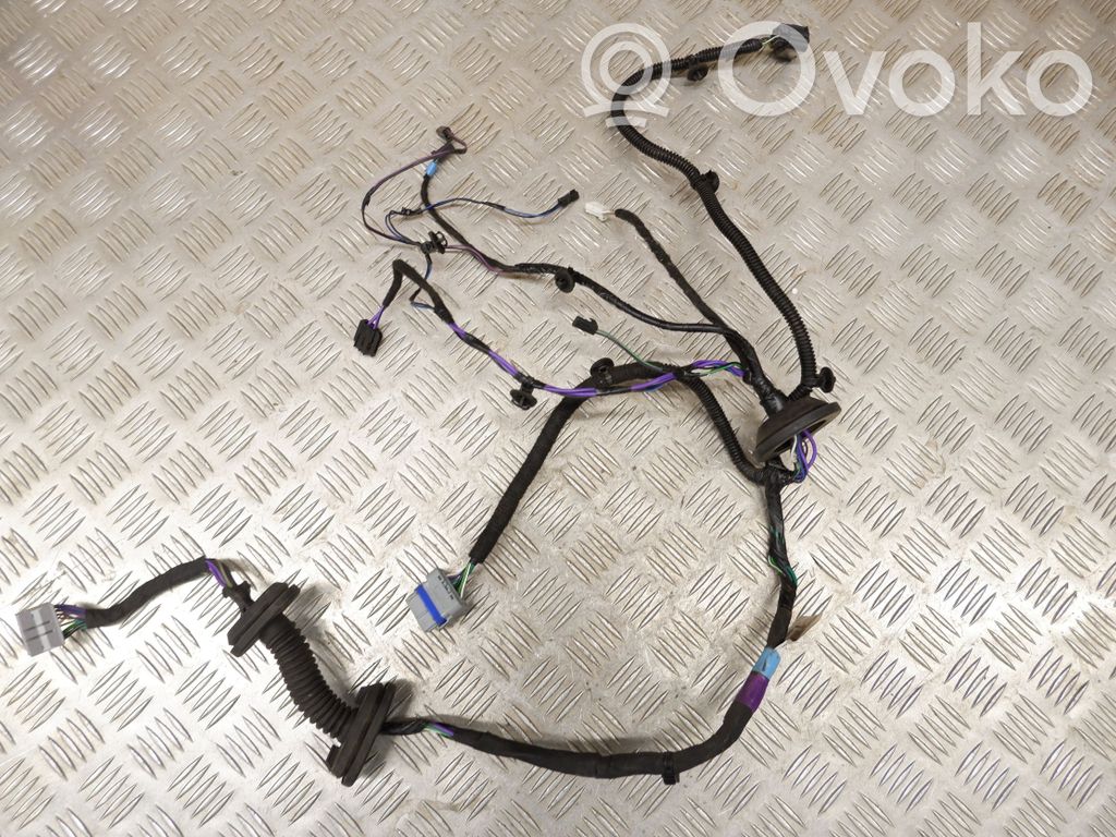 Tesla Model S Cableado de puerta trasera 