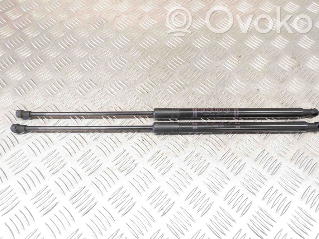 Toyota C-HR I Amortizor hayon 