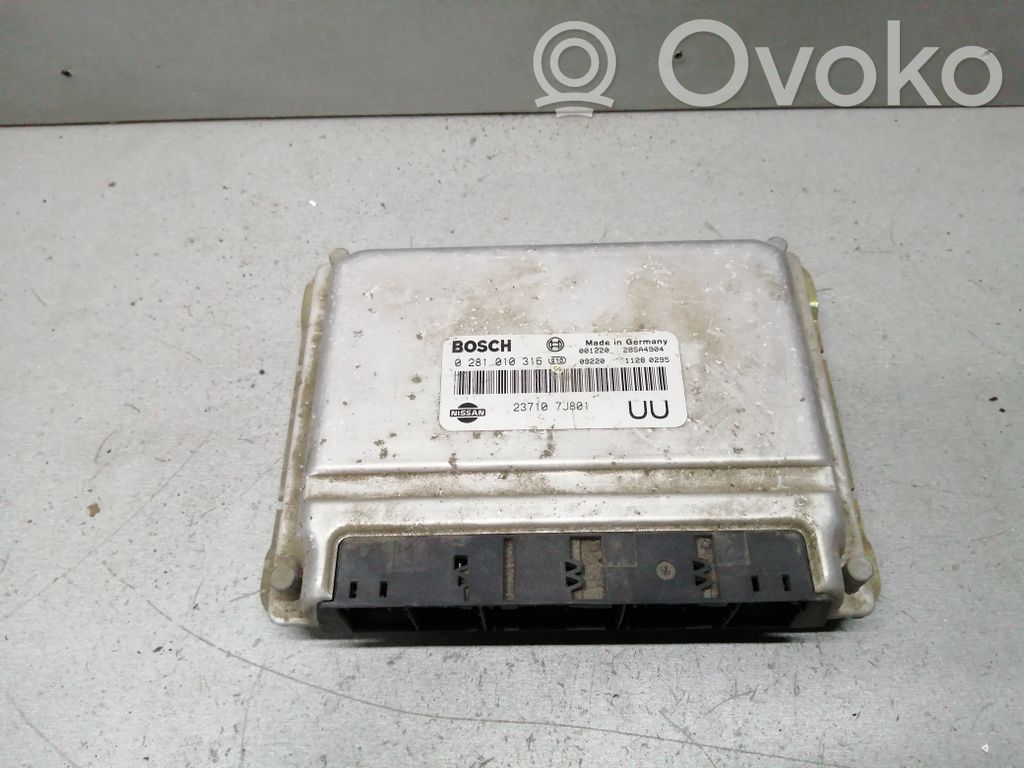 Nissan Primera Engine control unit/module 