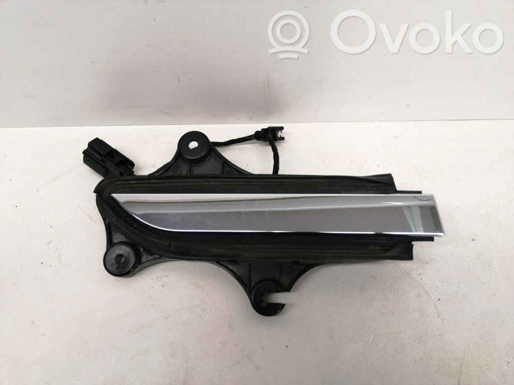 Manecilla externa puerta delantera   103541900E