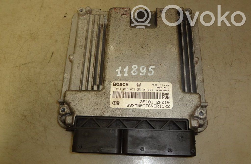 Engine control unit/module   0281016877,391012F010,391012F010