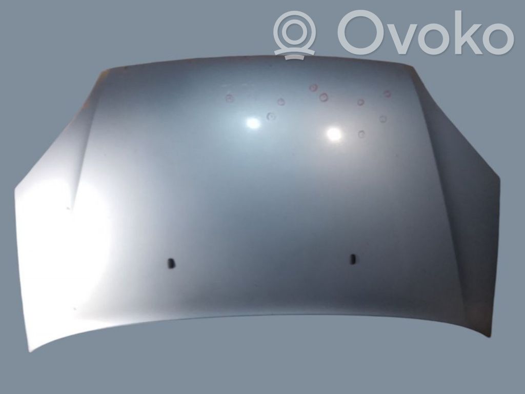 Dzinēja pārsegs (vāks)   P3M51R16610AA