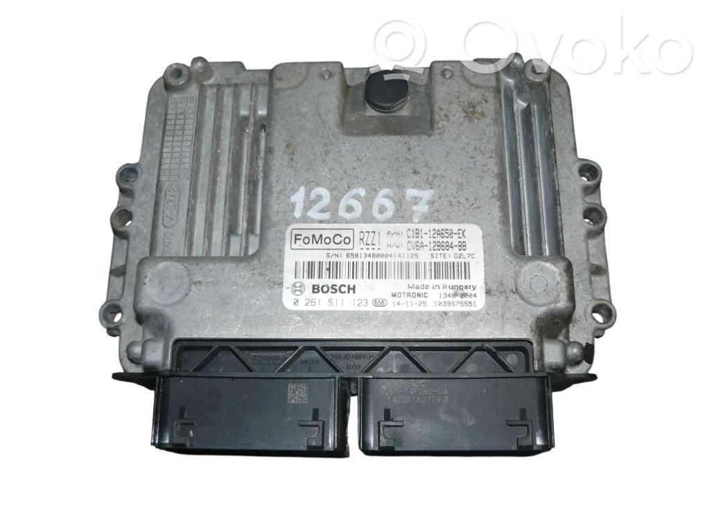 Ford Fiesta Engine control unit/module 