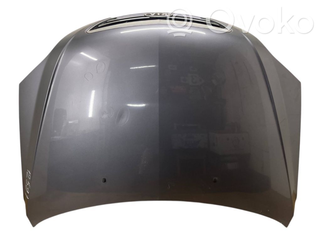 Engine bonnet/hood   664003E310,664003E010Q
