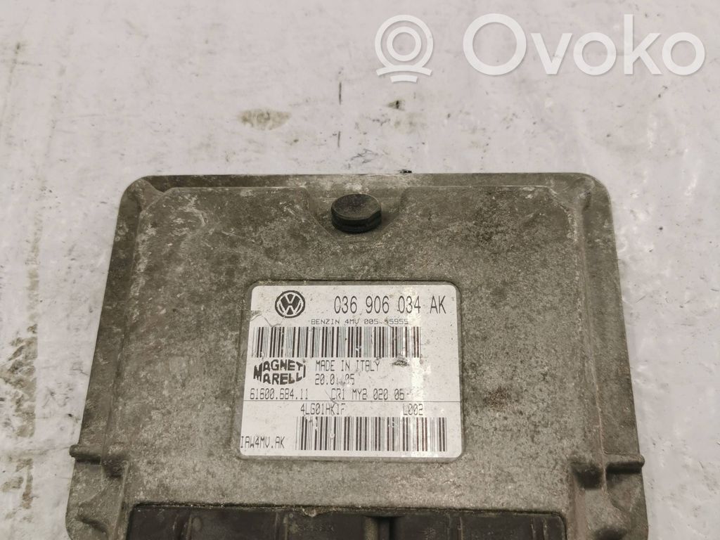 Engine control unit/module   036906034AK