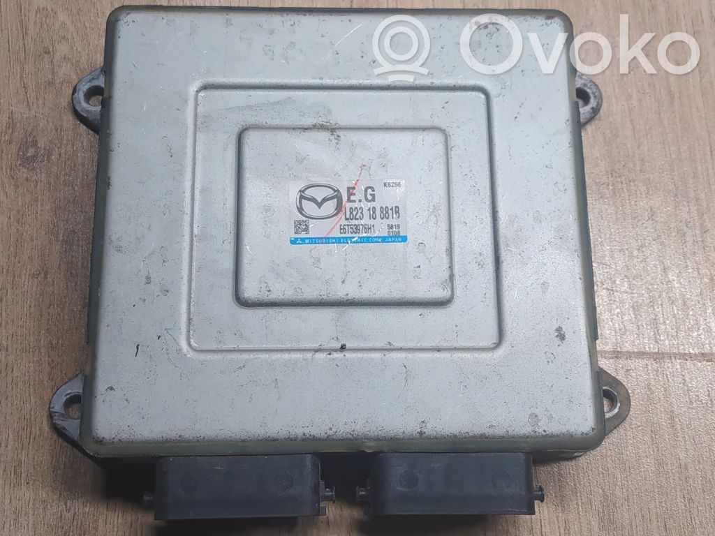 Engine control unit/module   L82318881B,E6T53976H1,K6266