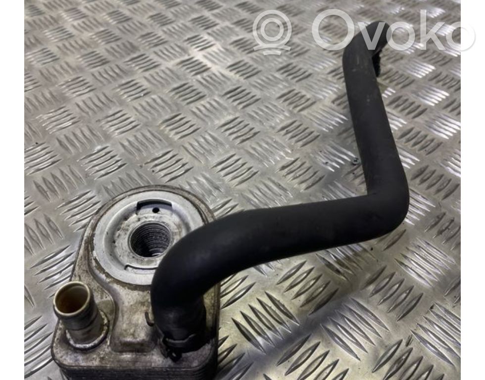 Ford Fiesta Engine oil radiator 