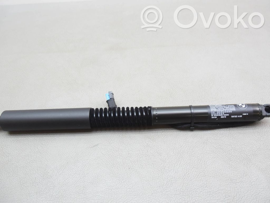 BMW X3 G01 Tailgate/trunk strut/damper 