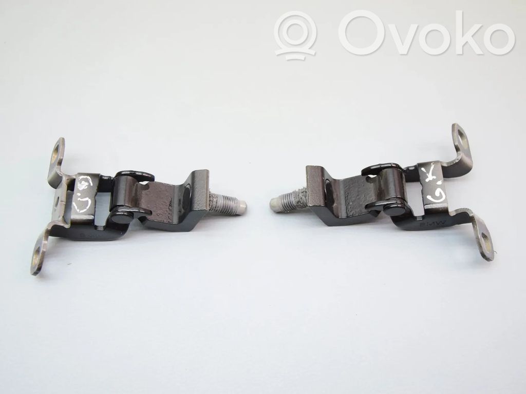 BMW X1 U11 Tailgate/trunk/boot hinge 