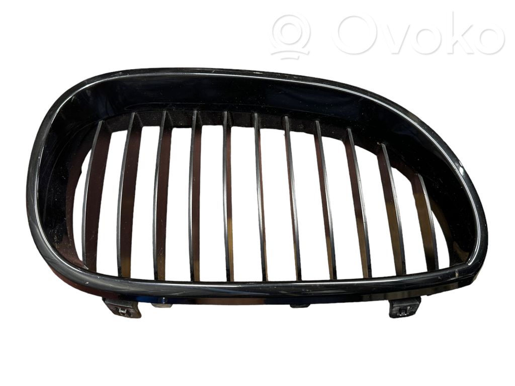 Front grill   10627110,51137065702