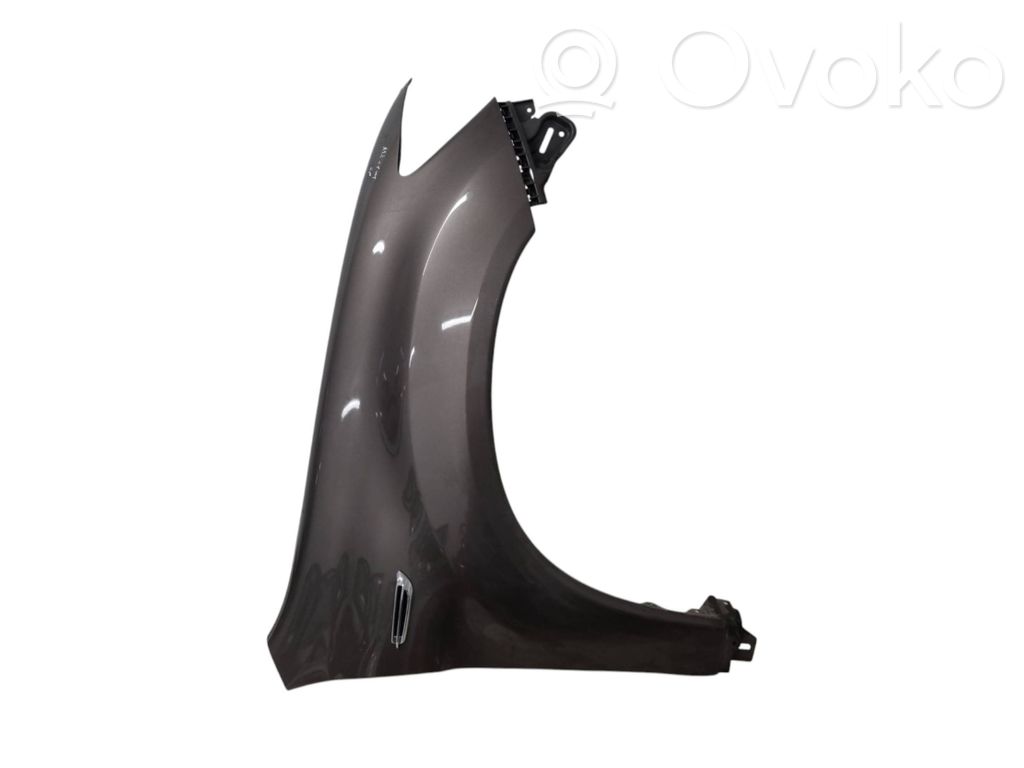 Guardabarro   5220F466