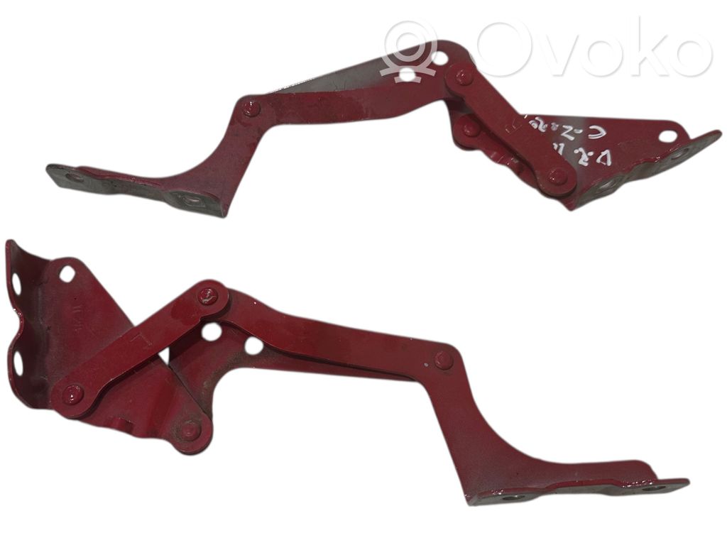 Tailgate/trunk/boot hinge