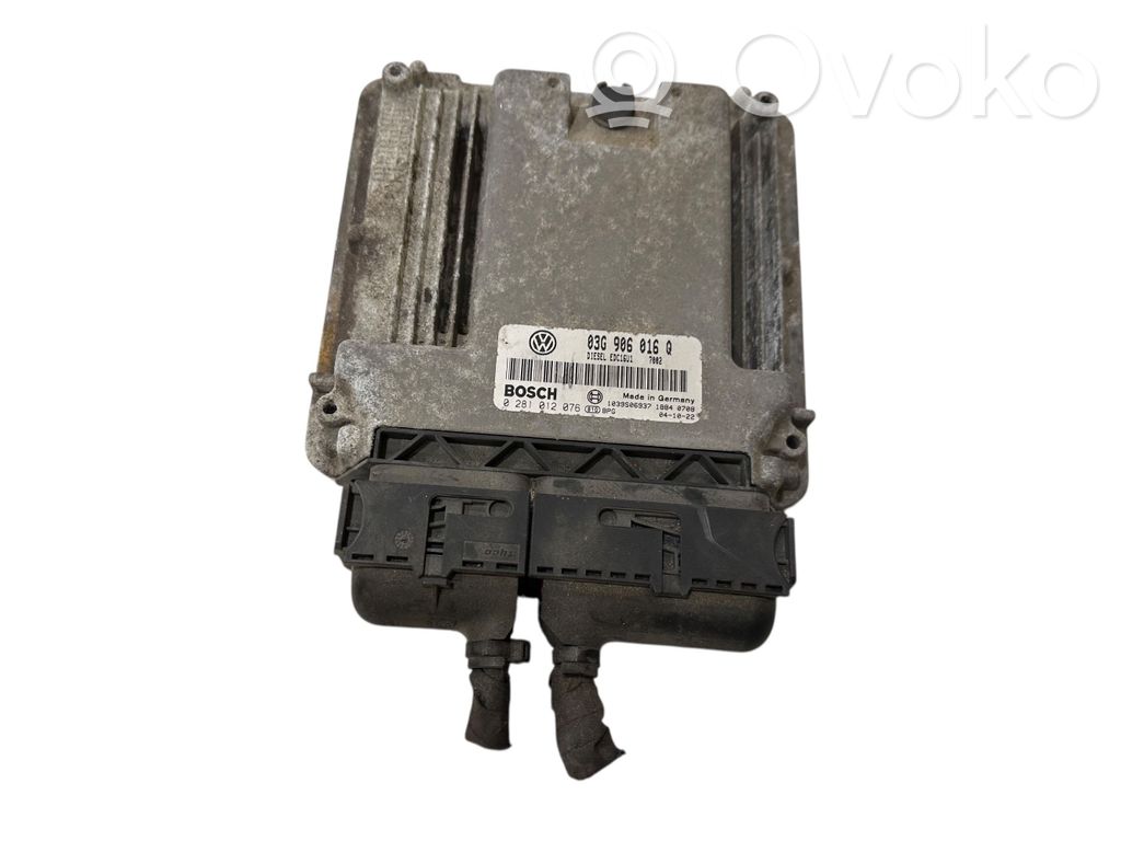 Volkswagen Golf V Engine control unit/module 