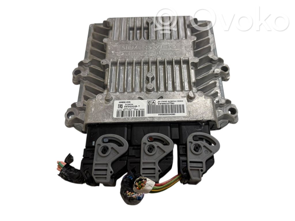 Citroen C5 Engine control unit/module 