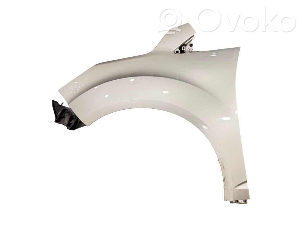 Guardabarro   AM51R16016AA,AM51R16016AH