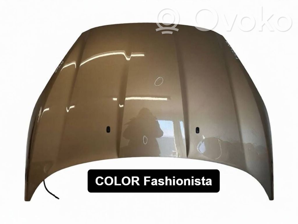 Ford Fiesta Konepelti 