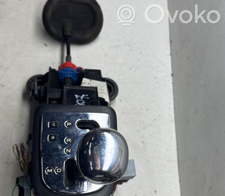 Peugeot 307 Gear shifter/selector 