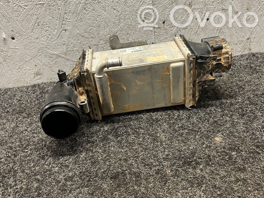 Volkswagen Tiguan Intercooler radiator 