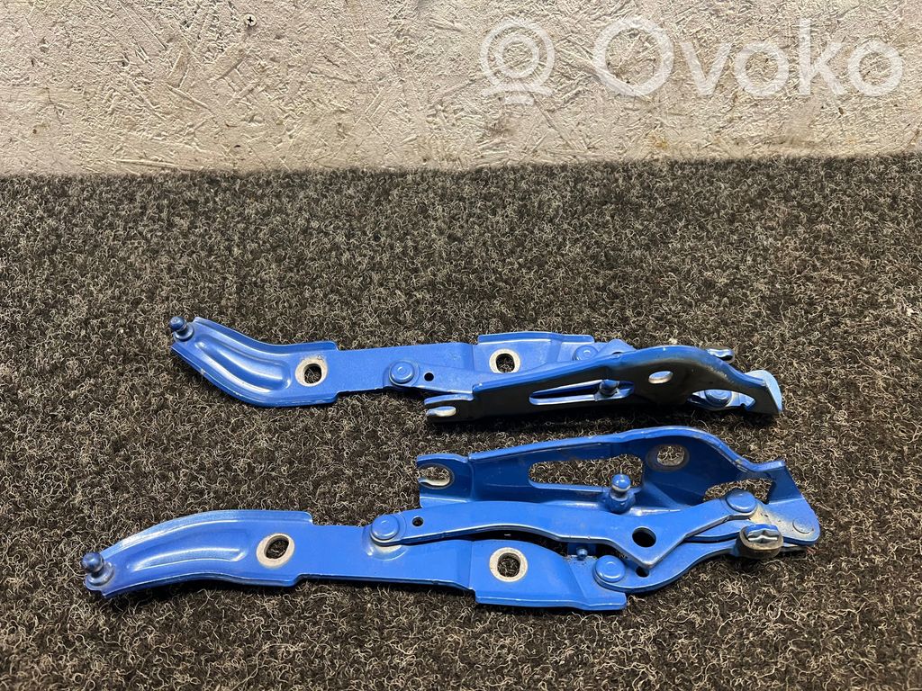 BMW 2 F22 F23 Cerniera portellone posteriore/bagagliaio 